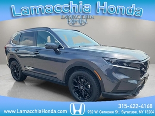 2024 Honda CR-V Hybrid for sale in Syracuse NY