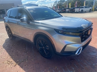 2023 Honda CR-V Hybrid for sale in Garden City Park NY