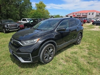 2020 Honda CR-V for sale in Houston TX