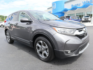 2019 Honda CR-V for sale in Morristown TN