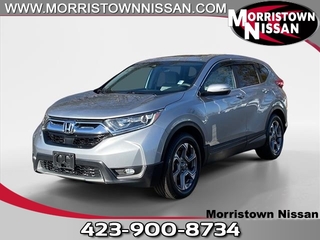 2019 Honda CR-V for sale in Morristown TN