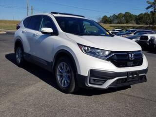 2022 Honda CR-V for sale in Cleveland TN