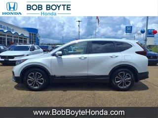 2020 Honda CR-V for sale in Brandon MS