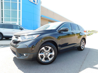 2019 Honda CR-V for sale in Gallatin TN