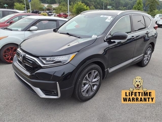 2020 Honda CR-V for sale in Morristown TN