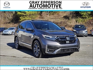 2020 Honda CR-V for sale in Cleveland TN