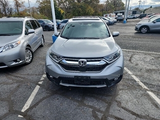 2019 Honda CR-V for sale in Johnson City TN