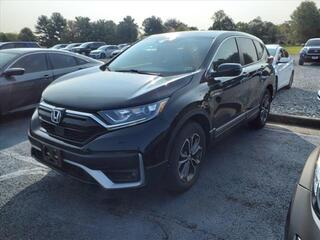 2021 Honda CR-V for sale in Roanoke VA