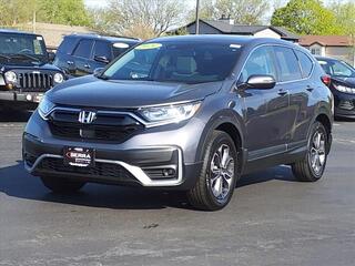 2020 Honda CR-V for sale in Savoy IL