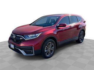 2021 Honda CR-V for sale in Forest Park IL