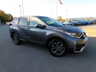 2021 Honda CR-V for sale in Clarksville TN