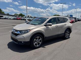 2019 Honda CR-V for sale in Johnson City TN