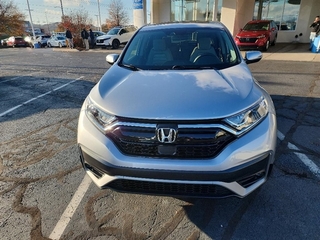 2020 Honda CR-V for sale in Johnson City TN