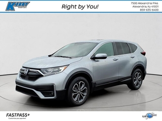 2020 Honda CR-V for sale in Alexandria KY