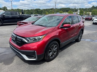 2021 Honda CR-V for sale in Kingsport TN