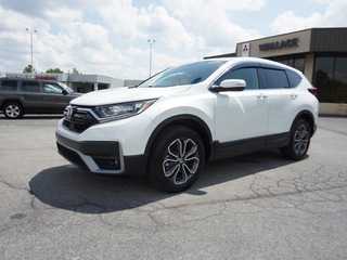 2020 Honda CR-V for sale in Morristown TN