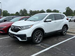 2020 Honda CR-V for sale in Roanoke VA