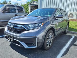 2020 Honda CR-V for sale in Roanoke VA