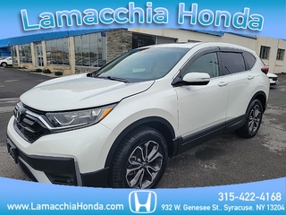2020 Honda CR-V for sale in Syracuse NY