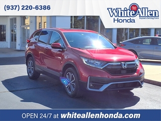 2020 Honda CR-V for sale in Dayton OH