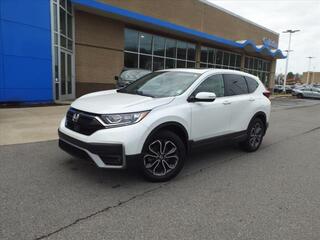 2020 Honda CR-V for sale in Gallatin TN