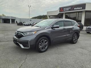 2020 Honda CR-V for sale in Kingsport TN