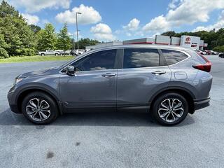 2022 Honda CR-V for sale in Morristown TN