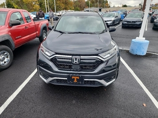2020 Honda CR-V for sale in Johnson City TN