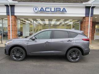 2021 Acura Rdx for sale in Sylvania OH