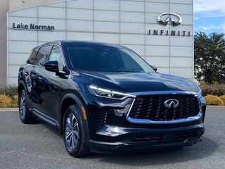 2025 Infiniti QX60 for sale in Cornelius NC