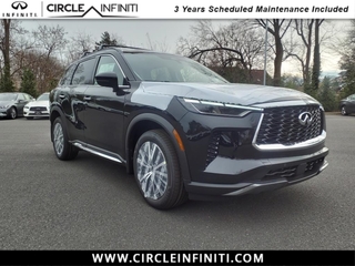 2025 Infiniti QX60