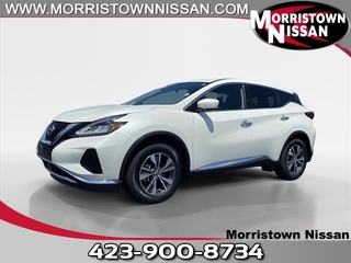 2021 Nissan Murano for sale in Morristown TN