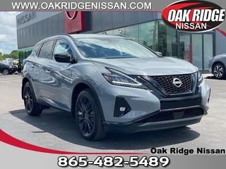 2024 Nissan Murano for sale in Oak Ridge TN