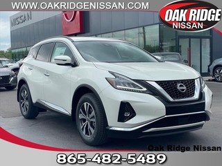 2024 Nissan Murano for sale in Oak Ridge TN