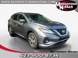 2020 Nissan Murano for sale in Morristown TN