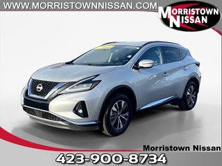 2023 Nissan Murano for sale in Morristown TN