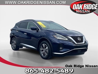 2024 Nissan Murano for sale in Oak Ridge TN