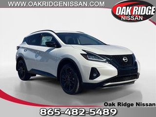 2024 Nissan Murano for sale in Oak Ridge TN