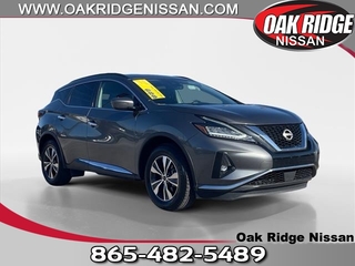 2023 Nissan Murano for sale in Oak Ridge TN