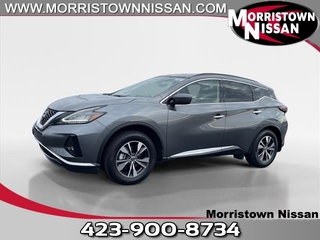 2024 Nissan Murano for sale in Morristown TN