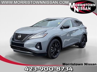 2024 Nissan Murano for sale in Morristown TN