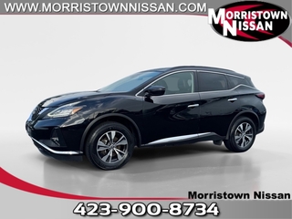 2024 Nissan Murano for sale in Morristown TN