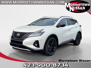 2024 Nissan Murano for sale in Morristown TN