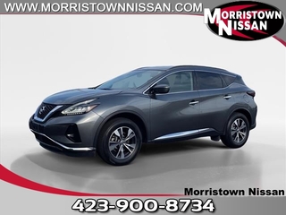 2021 Nissan Murano for sale in Morristown TN