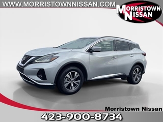 2023 Nissan Murano for sale in Morristown TN