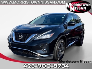2023 Nissan Murano for sale in Morristown TN