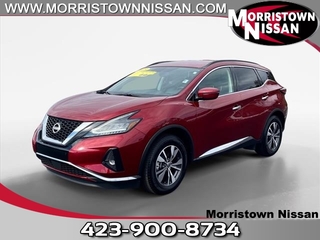 2023 Nissan Murano for sale in Morristown TN