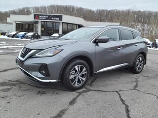 2024 Nissan Murano for sale in Kingsport TN