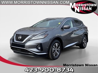 2024 Nissan Murano for sale in Morristown TN