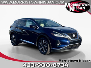 2023 Nissan Murano for sale in Morristown TN